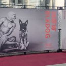 20240623 성남아트센터 오페라하우스 블랙독 관극 후기_ 성남아트센터 오페라하우스 시야