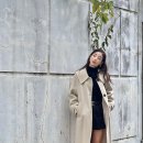 올리브(OLIVE) 이미지