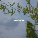 디스튜디오 이미지