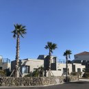 덕수초등학교 | [제주]감성숙소 ‘제주살랑’(사계살랑6동) 내돈내산 솔직후기