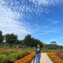 코쿠멍 | 연천애견동반펜션 코쿠멍 힐링 후기