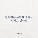 하루두피 세종아름점