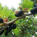 석현농장 이미지