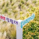 제주허브동산 이미지