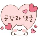 미겔리또 이미지