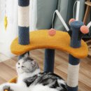 달고양이 이미지