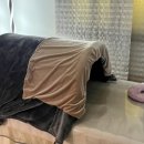 에스라인.핏 이미지