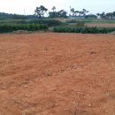 황토농장 이미지