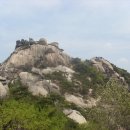 에덴동산 이미지