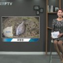 잡어대장낚시이야기