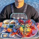 돌핀스 모텔 이미지