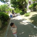 통큰딱따구리 이미지