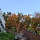 약진로변 이미지