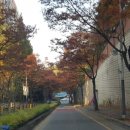 광림한의원 이미지