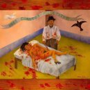 신기환 카카오 검색결과