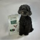 예지사료 이미지