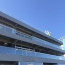 백야 | 강릉 감성 끝판왕 백야커피 후기!!!!💛🥖🍞🥪🥯