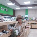 삼남농협 평리지점 네이버블로그