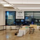 비어마이독 이미지