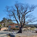 성덕보건진료소 이미지