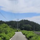 버스정류장 이미지