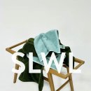 설울