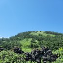 제주하늘지기 | 제주도 비양도 여행, 펄랑못 염습지