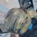 강남대로83길 53 | [다니에르 리뷰] 강남신논현미용실 파베드헤어 강남미용실 두피관리 반포미용실 후기