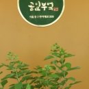 24공일 네이버블로그