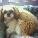 응암3-016 이미지