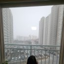 오미정 이미지