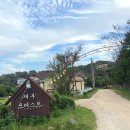 제부포레스트 | 제부도 애견동반가능 독채펜션 아기랑 숙박후기 &lt;제부포레스트&gt; +수영장
