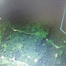 지번,사진:우주항공도시와 청정바닷가 고흥동강면임야11,490평(2400만원)약초,고사리,엄나무,헛개적합 이미지