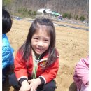 부신농장 이미지