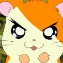 서일영어학원 이미지