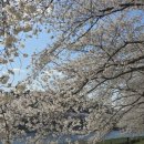 회야강변 이미지