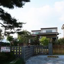 세솔팬션 네이버블로그