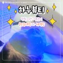 감동하누 | 마산피부관리 창원피부관리 추천 / 마산 하누뷰티 물방울리프팅 워터필링 피부결개선 모공관리 탄력케어...