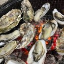 비렁길굴등민박 | 6시내고향 사천 비토섬 밥주는 민박집 | 순애민박굴구이 예약, 전화번호, 주소