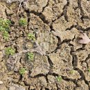 도덕농장 이미지