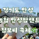 초계농협 | 5월 안성 가볼만한곳 🌿 안성팜랜드 청보리축제 다녀온 후기 + 벌써 코스모스까지