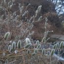 시인공간 이미지