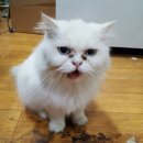 태우농장 이미지