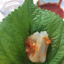 대부도횟집2호
