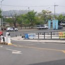 퍼피펜트하우스 이미지