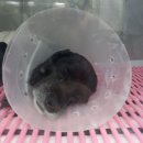 24시굿케어동물의료센터 이미지