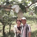 봉화농장 이미지