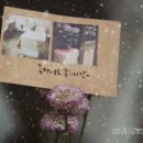 참좋다 이미지