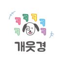 포레스트(FOREST)389 이미지