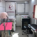 스타일좋개 이미지